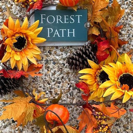 Forest Path Luxury Studio Apartment With Large Bedroom Bathroom And Sauna Sleeps Up To 4 Ballynahinch Extérieur photo
