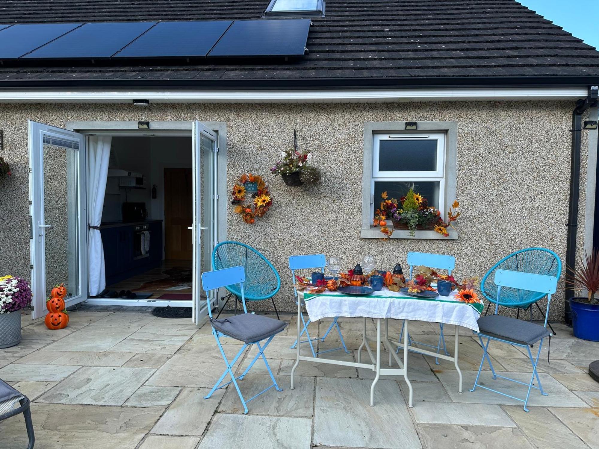 Forest Path Luxury Studio Apartment With Large Bedroom Bathroom And Sauna Sleeps Up To 4 Ballynahinch Extérieur photo