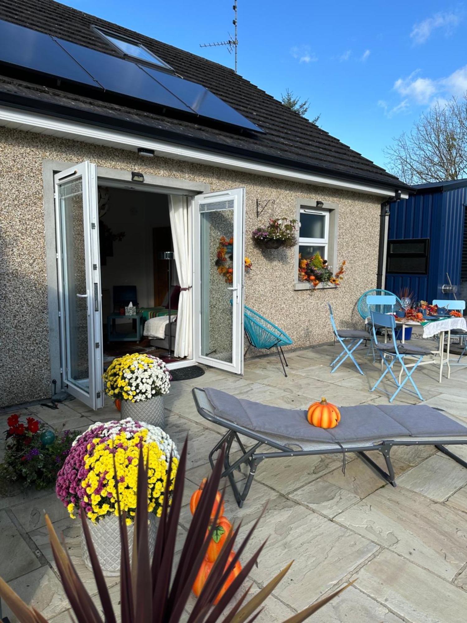 Forest Path Luxury Studio Apartment With Large Bedroom Bathroom And Sauna Sleeps Up To 4 Ballynahinch Extérieur photo