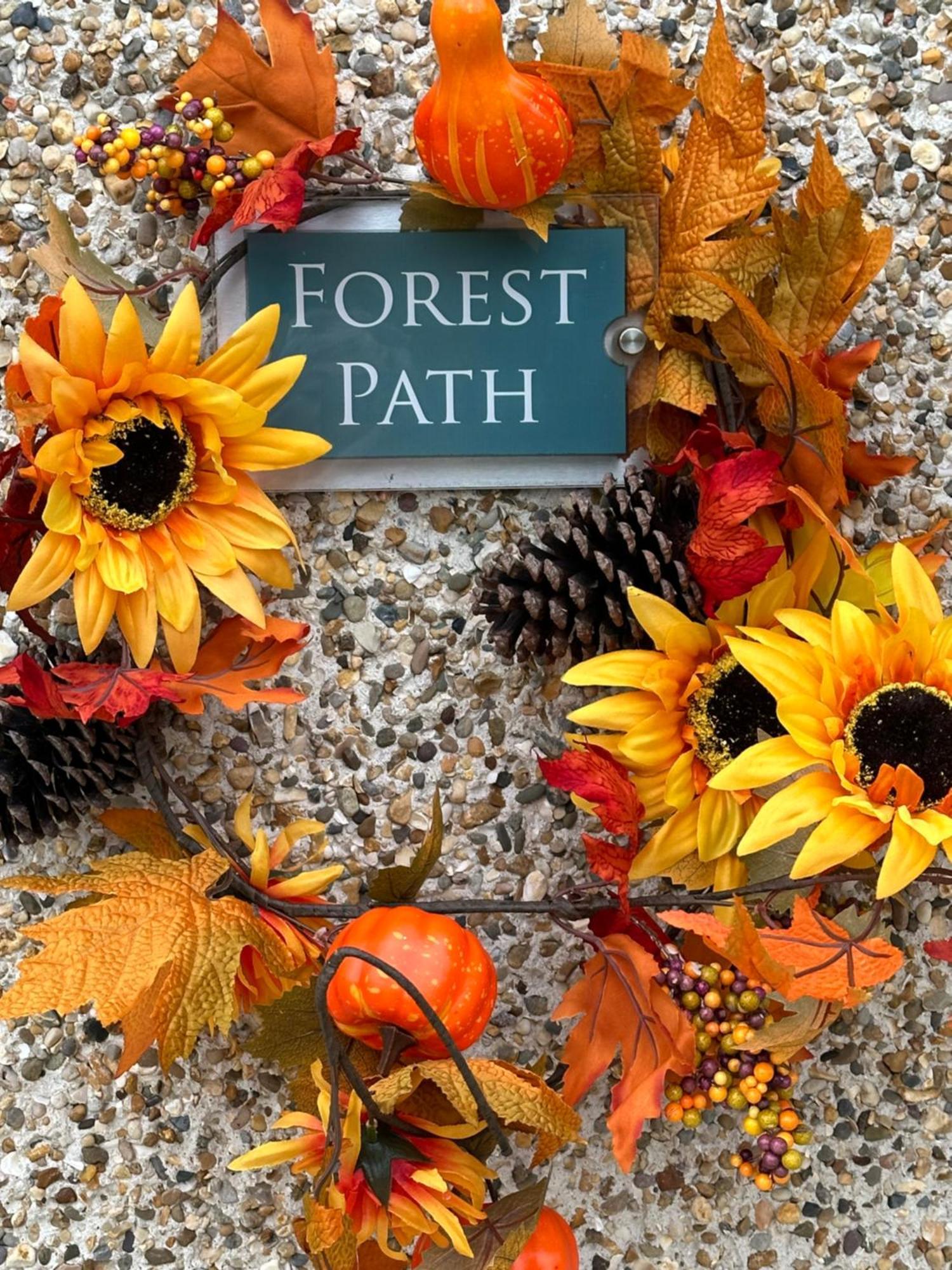 Forest Path Luxury Studio Apartment With Large Bedroom Bathroom And Sauna Sleeps Up To 4 Ballynahinch Extérieur photo