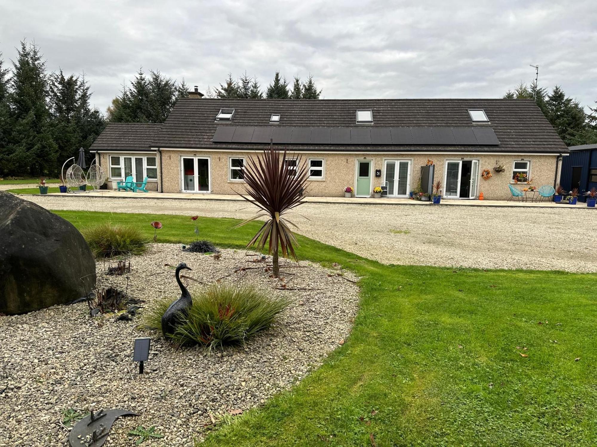 Forest Path Luxury Studio Apartment With Large Bedroom Bathroom And Sauna Sleeps Up To 4 Ballynahinch Extérieur photo